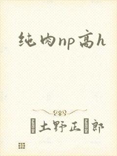 纯肉np高h