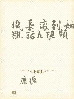 机长脔到她哭h粗话h视频