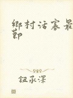 乡村活寡最新章节