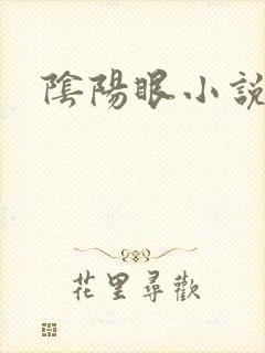 阴阳眼小说