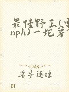 最佳野王(电竞nph)一坨薯饼