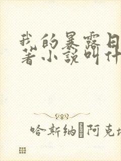 我的暴露日记原著小说叫什么