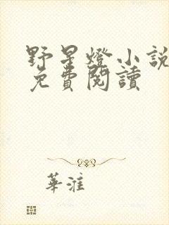 野星灯小说全文免费阅读