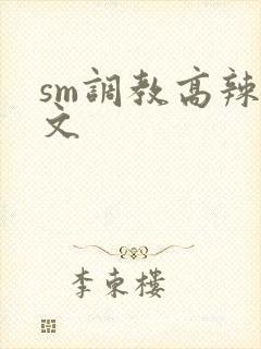sm调教高辣h文