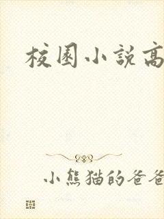 校园小说高h