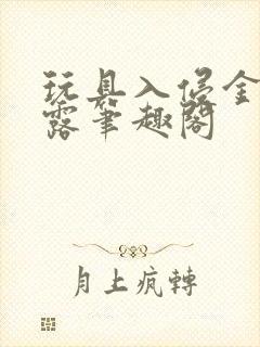 玩具入侵金银花露笔趣阁