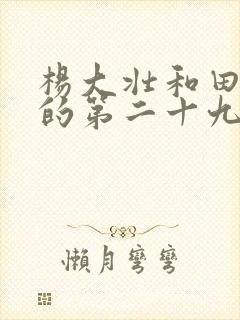 杨大壮和田桂花的第二十九