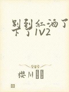 别到红酒了装不下了1V2