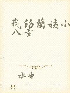 我的兰姨小说第八章