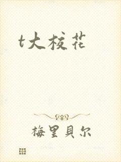 t大校花