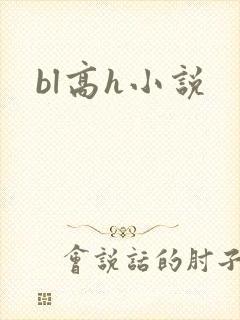 bl高h小说