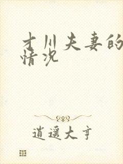 才川夫妻的恋爱情况