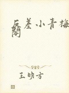 反差小青梅笔趣阁