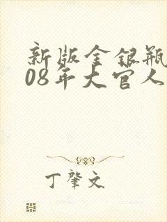 新版金银瓶2008年大官人