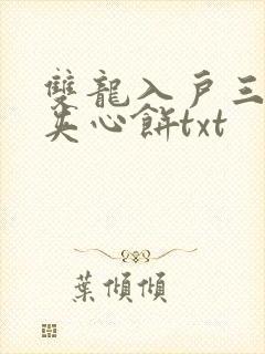 双龙入户三人行夹心饼txt