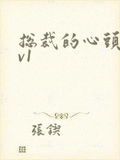 总裁的心头宝1v1