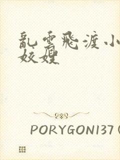 乱云飞渡小说之姣嫂