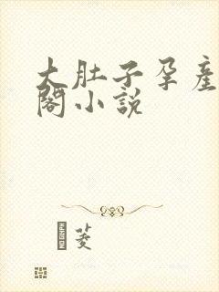 大肚子孕产笔趣阁小说