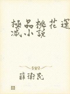 极品桃花运未删减小说