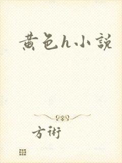 黄色h小说