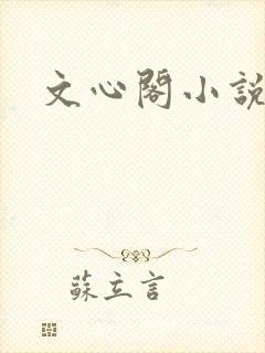 文心阁小说