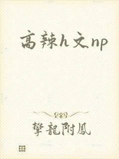 高辣h文np