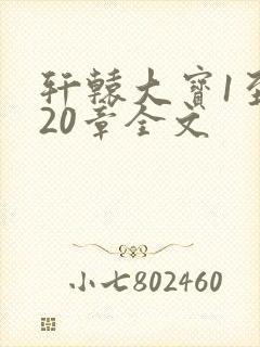 轩辕大宝1至720章全文