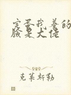 完蛋我养的小白脸是大佬