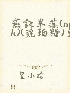 燕钗半落(nph)(琥珀糖)更新