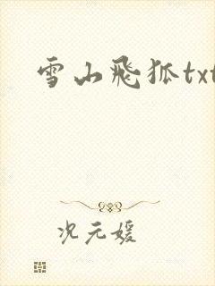 雪山飞狐txt