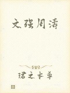文强周涛
