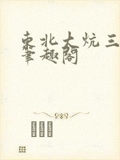 东北大炕三部曲笔趣阁