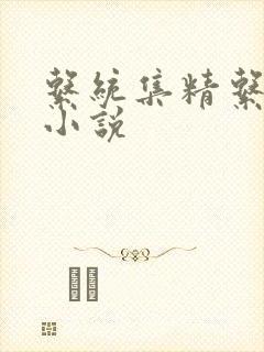 系统集精系统 小说