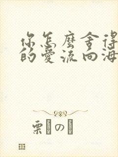 你怎么舍得让我的爱流向海