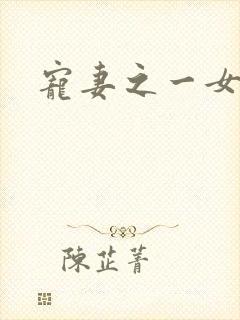 宠妻之一女二夫