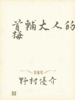 首辅大人的小青梅