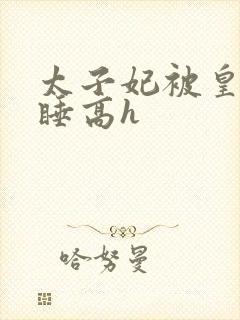 太子妃被皇上强睡高h