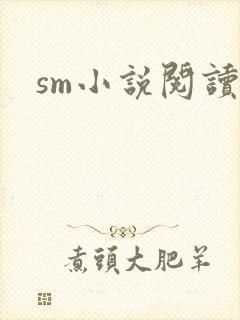 sm小说阅读