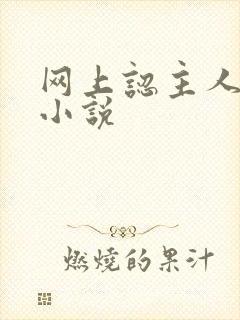 网上认主人调教小说