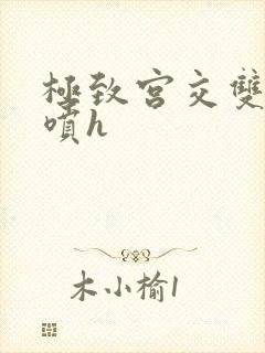 极致宫交双性潮喷h