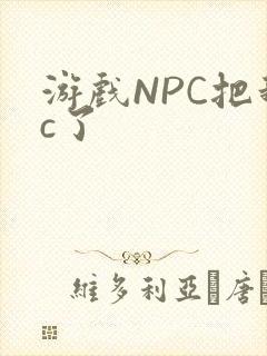 游戏NPC把我c了