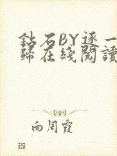 钻石BY逐一而归在线阅读