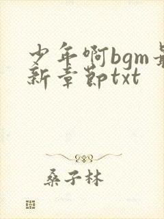 少年啊bgm最新章节txt