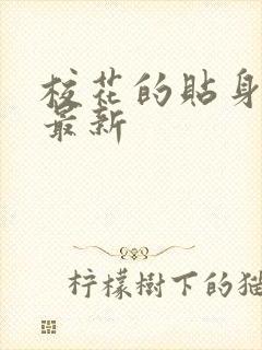 校花的贴身高手最新