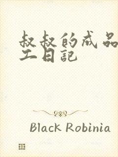 叔叔的成品店打工日记