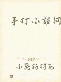 手打小说网