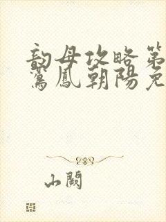 韵母攻略第二部鸾凤朝阳免费阅读