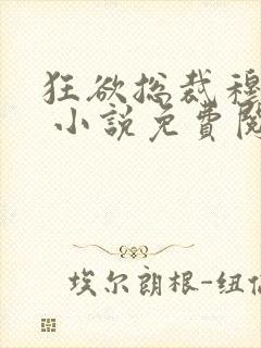 狂欲总裁穆非雪 小说免费阅读