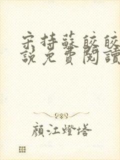 宋持苏皎皎的小说免费阅读