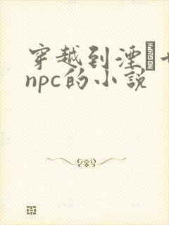 穿越到湮婸世界npc的小说